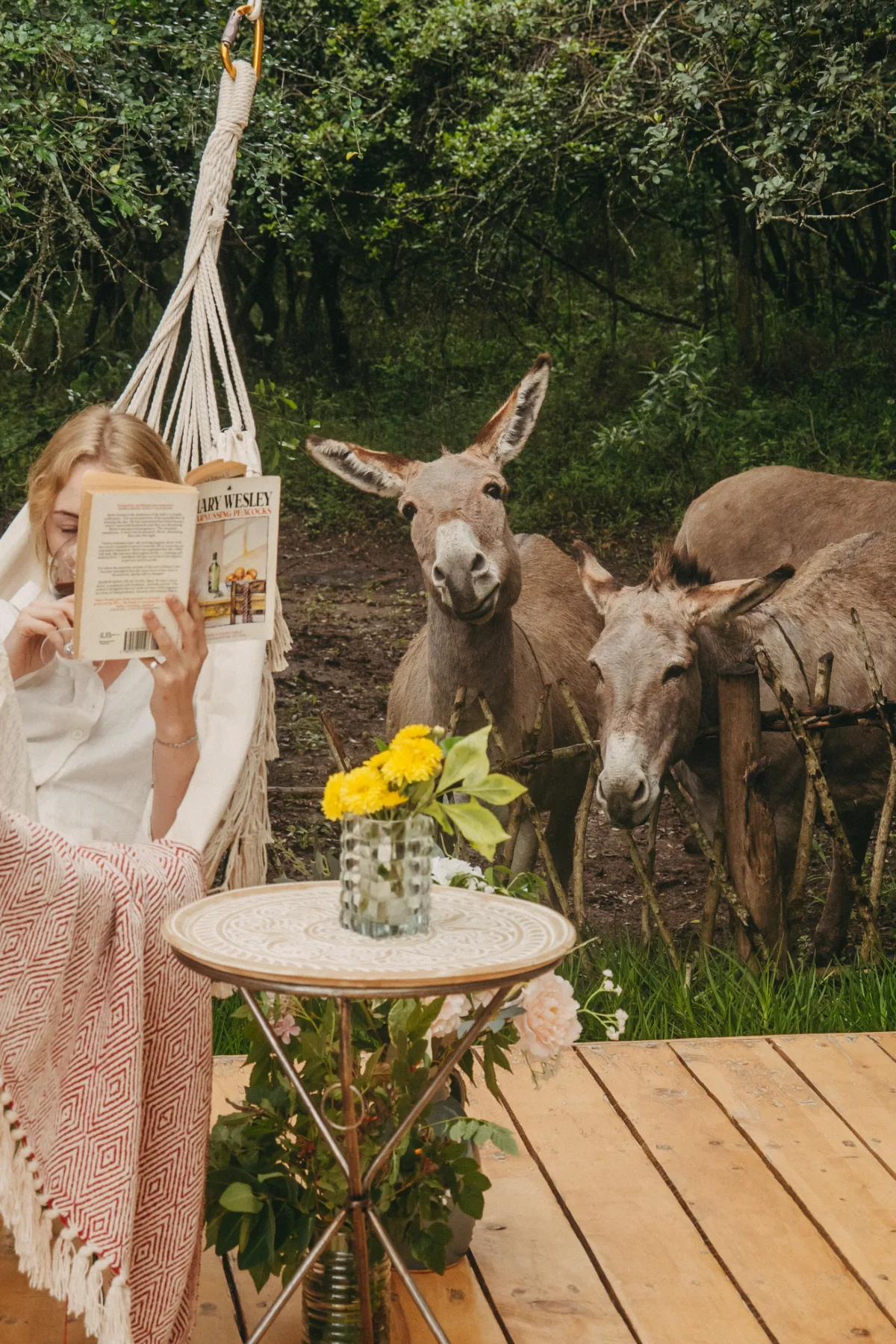Reading in the hammock chair while the Mukima donkeys come to visit