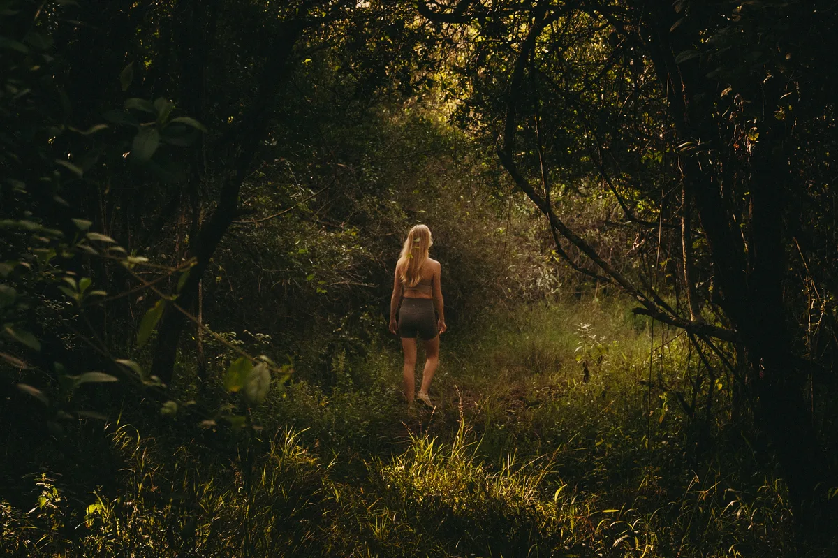 The rewilded forest at Mukima