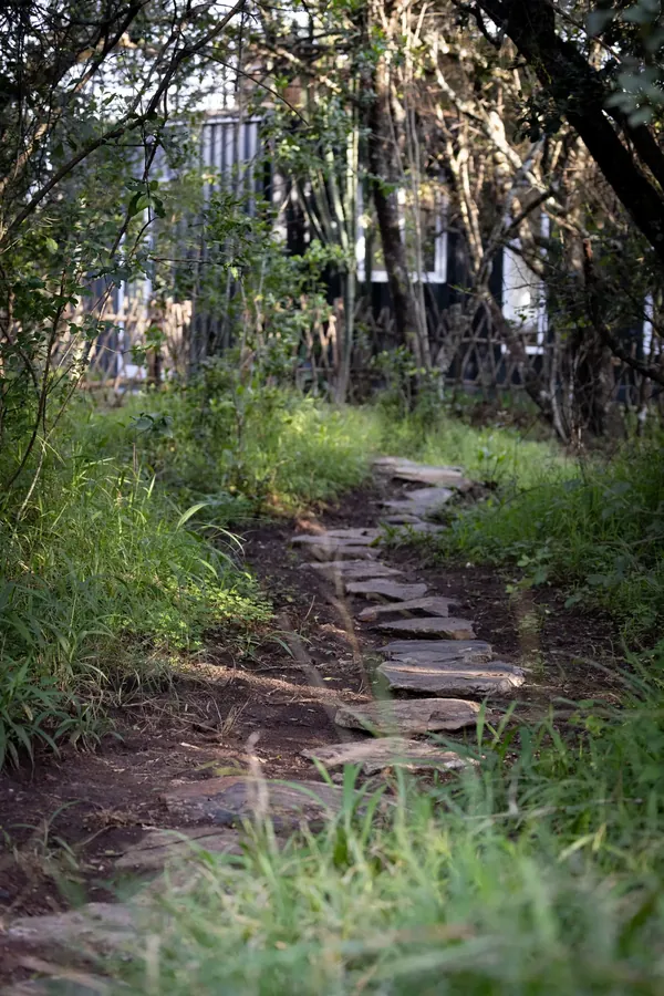 Forest Den interior